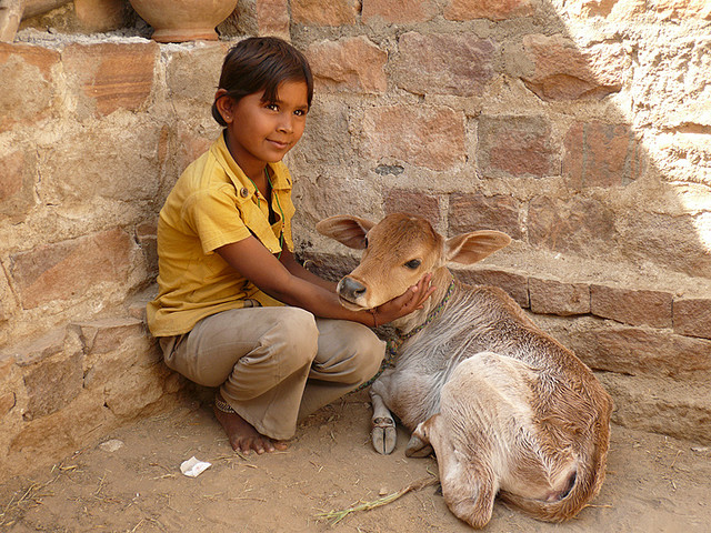 Abdel Sinoctou, CC BY-SA 3.0 <https://creativecommons.org/licenses/by-sa/3.0>, via Wikimedia Commons - Bishnoi